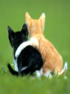 Friend 1